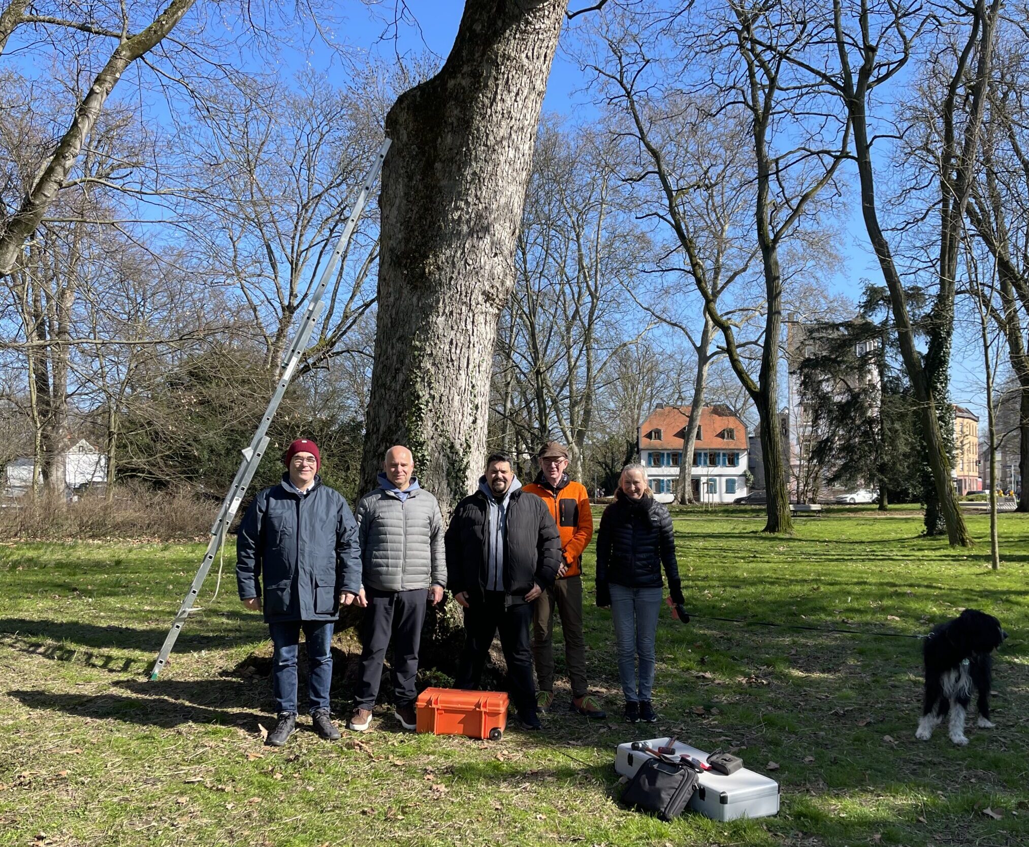 Ομάδα Παρατηρητηρίου Αστικού Πρασίνου Κρήτης στη Γερμανία για εξοπλισμό δέντρων.