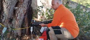 Ο Δρ. Παναγιώτης Νεκτάριος, μέλος του Παρατηρητηρίου Αστικού Πρασίνου Κρήτης, χρησιμοποιεί ρεζιστόγραφο για την αξιολόγηση της δομικής ακεραιότητας ενός δέντρου χαρουπιάς κατά τη διάρκεια εκπαιδευτικής δραστηριότητας.