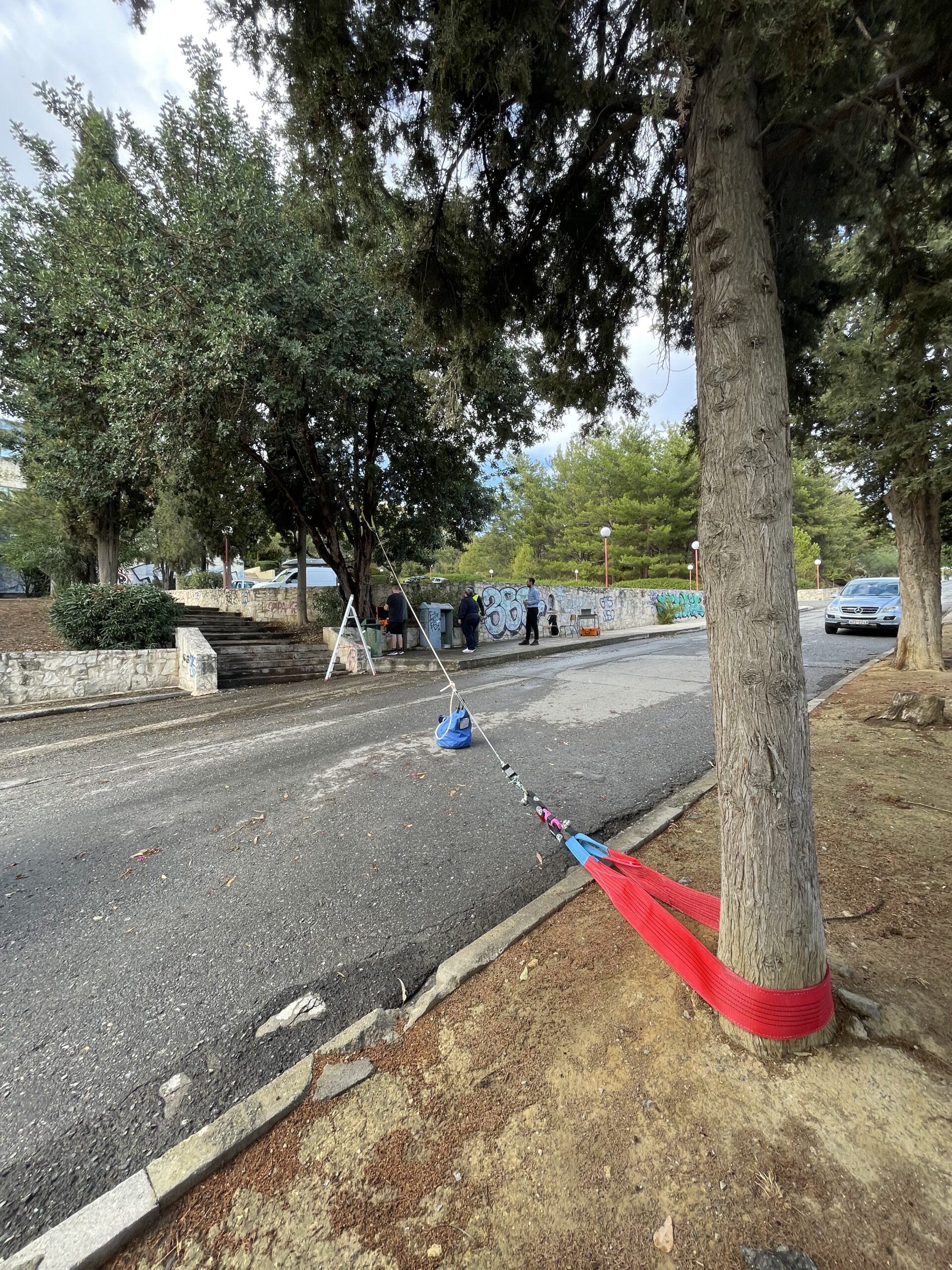 Εκτέλεση δοκιμής έλξης σε δέντρο χαρουπιάς με χρήση εξοπλισμού ασφαλείας στο ΕΛΜΕΠΑ.